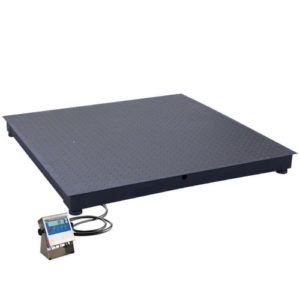 Radwag WPT/4 PUE C31H